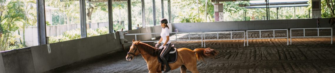 Young woman trains in horseback riding in the arena. Young Cauca